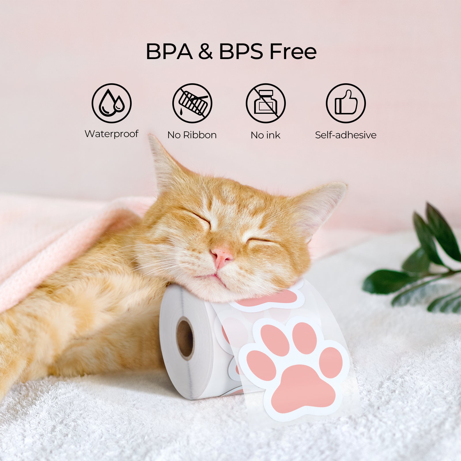 MUNBYN 3x2.7" Pet Paw Thermal Sticker Labels | 500 Labels Per Roll