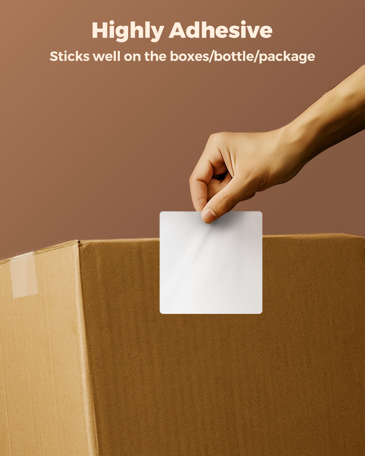 Hand applying blank adhesive label to cardboard shipping box for packaging or mailing